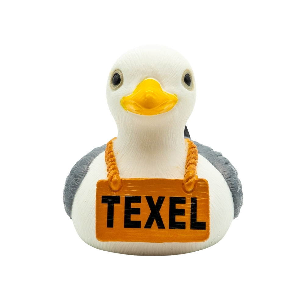 Texel Zeemeeuw Badeendje – Grijze Meeuw met Oranje Snavel & Texel Bordje